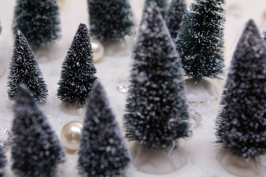 Bridal-Shower-Photography