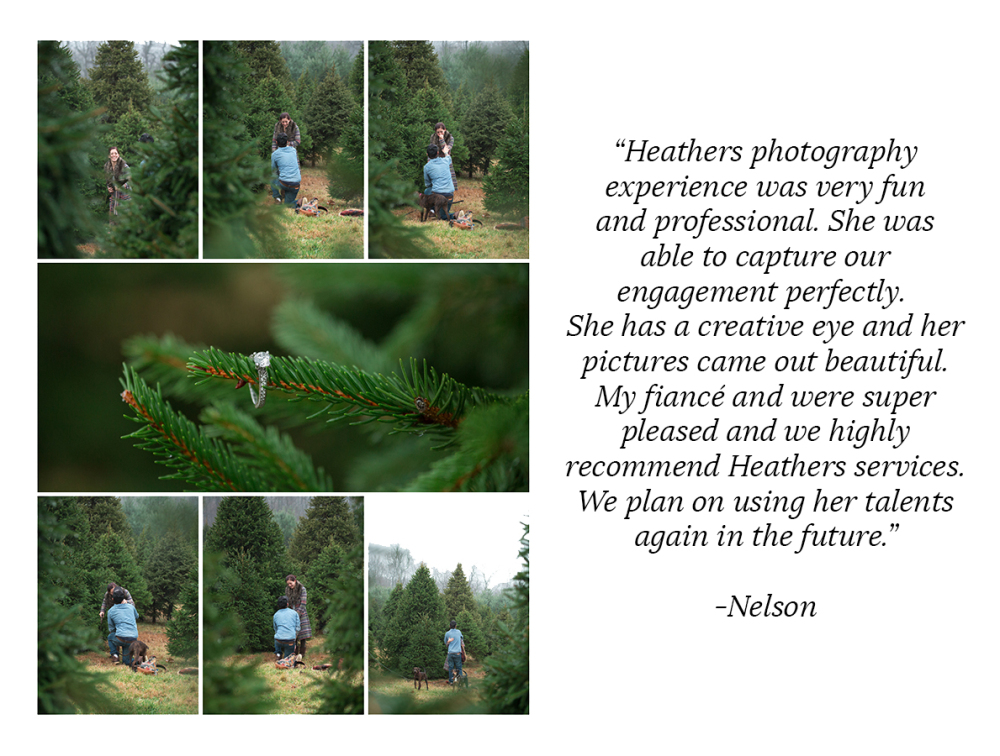Heather-Palecek-Photography-Reviews