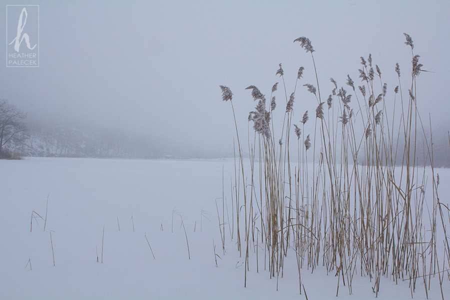 Iced Over Lake Marcia