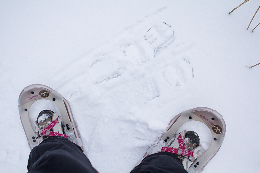 My Snow Shoes