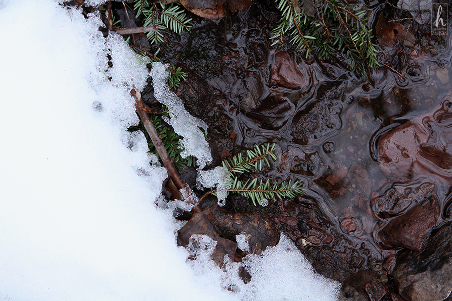 the winter ground below