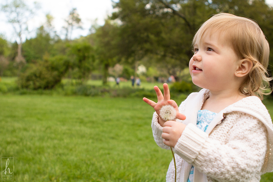New-Jersey-Children-Photography