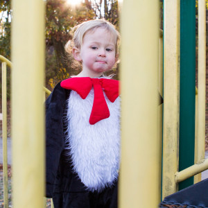 Cute Boy's Fall Photo Shoot at Round Valley State Park {NJ Child Photographer}