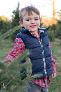 JJ's Christmas Photo Session at Christmas Tree Farm in Central NJ {NJ Child Portrait Photographer}