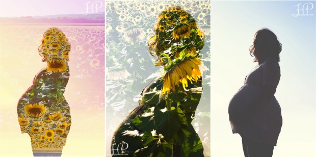 multiple-exposures-with-sunflowers