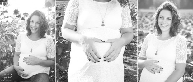 new-jersey-maternity-photo-shoot-sunflower-field
