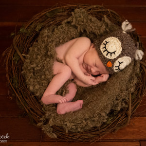 Newborn Photography