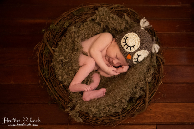 Newborn-Photography-owl-in-nest