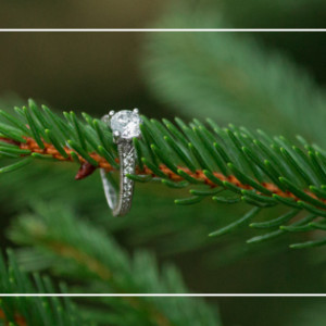 Proposal at Christmas Tree Farm  {NJ Wedding Proposal Photographer Hamilton NJ}