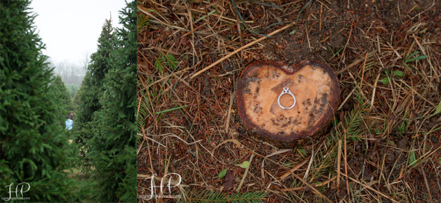 Wedding-Proposal-Photographer-NJ