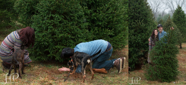 Wedding-Proposal-Photographer-NJ