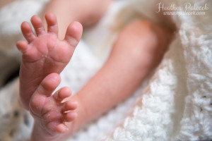 Newborn Portrait Session in Verona, NJ {Hamilton, NJ Newborn Photographer}