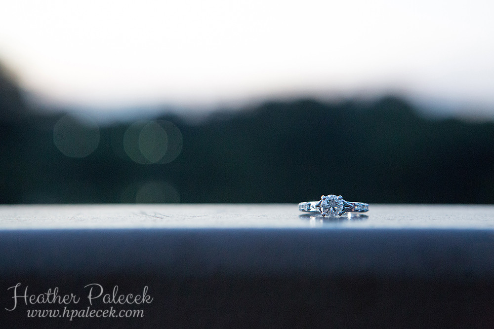 TCNJ-New-Jersey-Engagement-Photo-Shoot