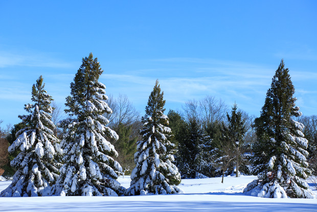 Winter-Storm-Jonas-2016-Snow