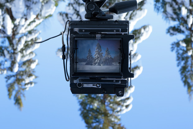 Winter-Storm-Jonas-2016-Snow