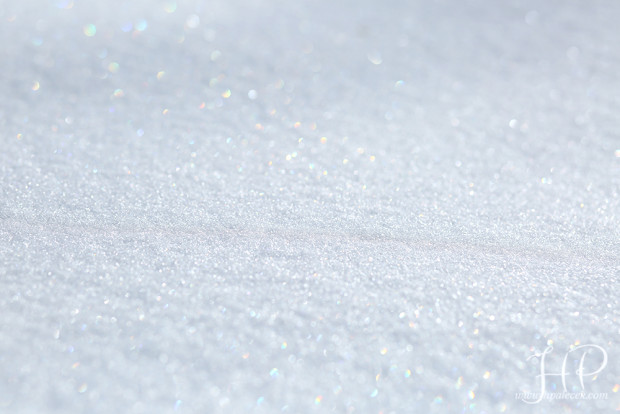 Winter-Storm-Jonas-2016-Snow