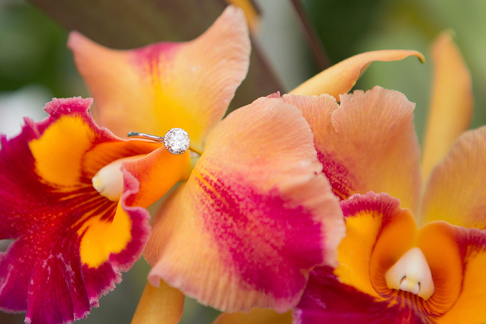 orchid-conservatory-greenhouse-engagement-session-new-jersey