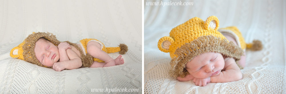 newborn-portraits