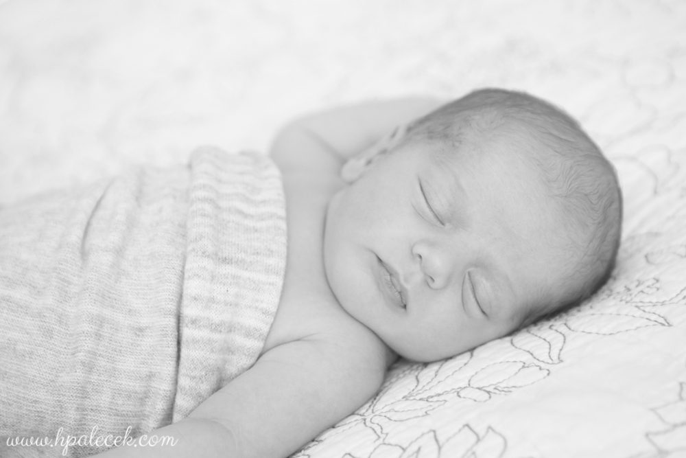 hamilton-new-jersey-newborn-portraits