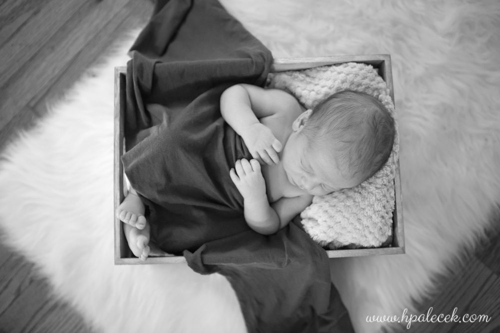 hamilton-new-jersey-newborn-portraits