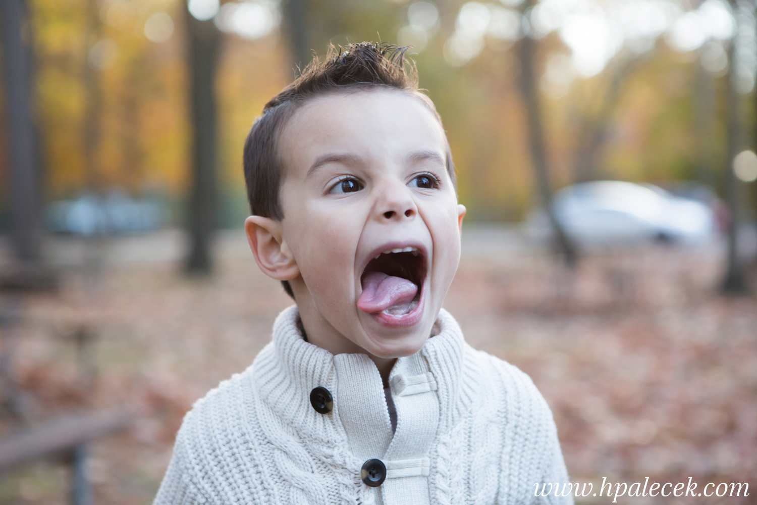heather-palecek-photography-best-of-2016