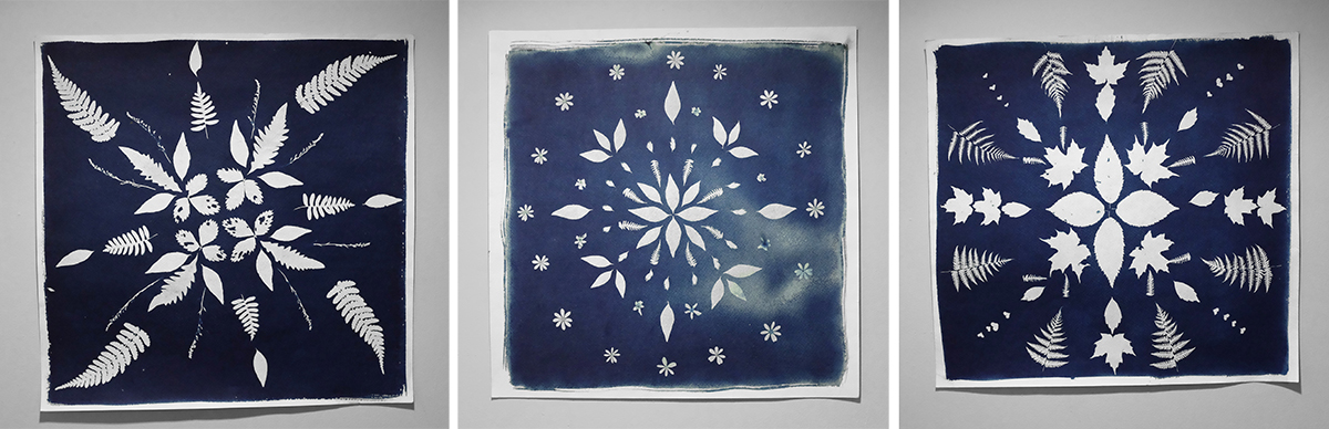 cyanotypes