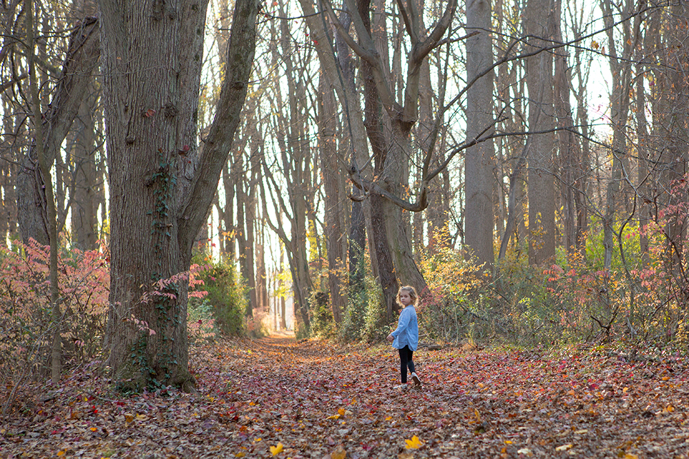 heather-palecek-photography-best-of-2016