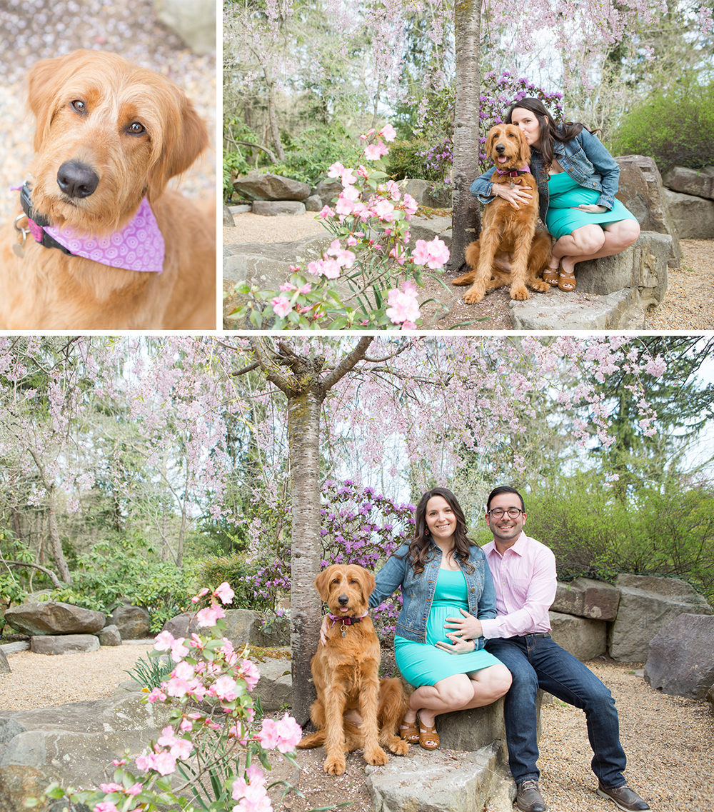 Maternity-Session-Sayen-Gardens-Cherry-Blossoms