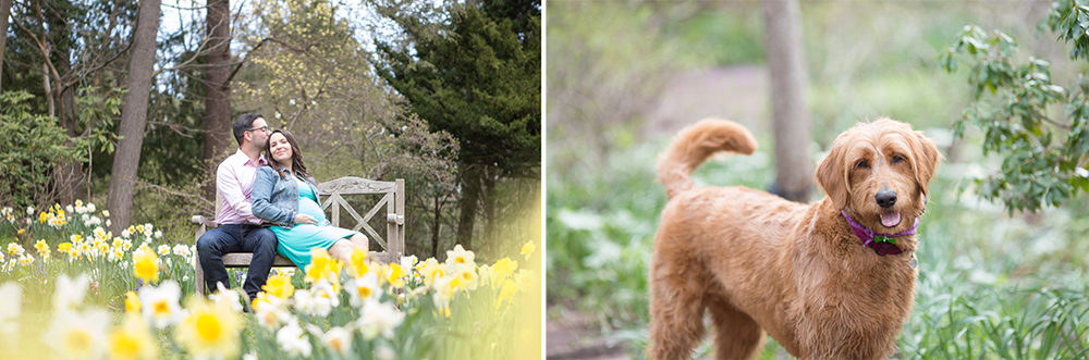 Maternity-Session-Sayen-Gardens-Cherry-Blossoms
