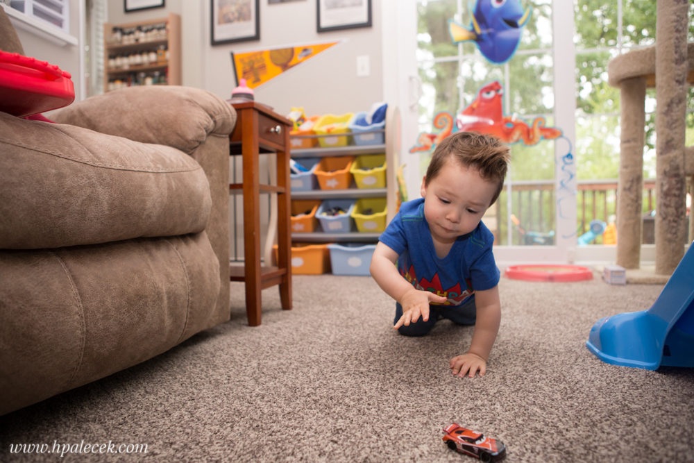 Finding Dory Birthday Party