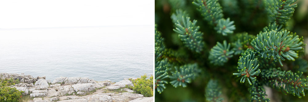 Acadia National Park