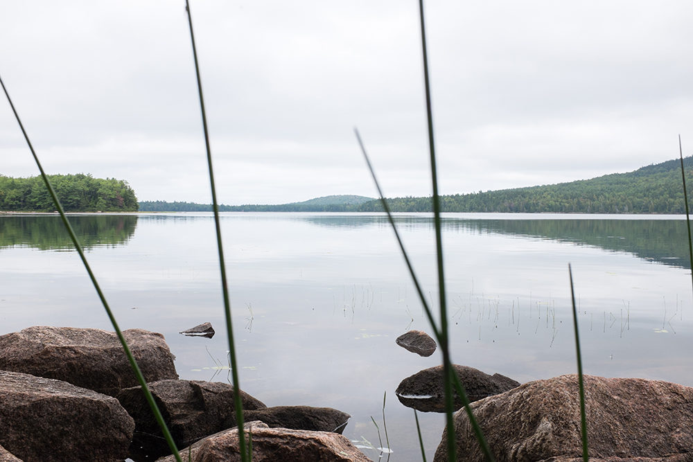 Acadia National Park
