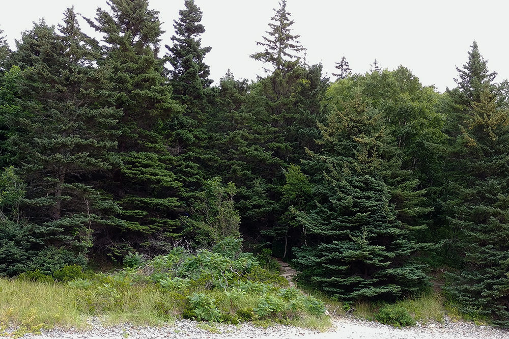 Acadia National Park