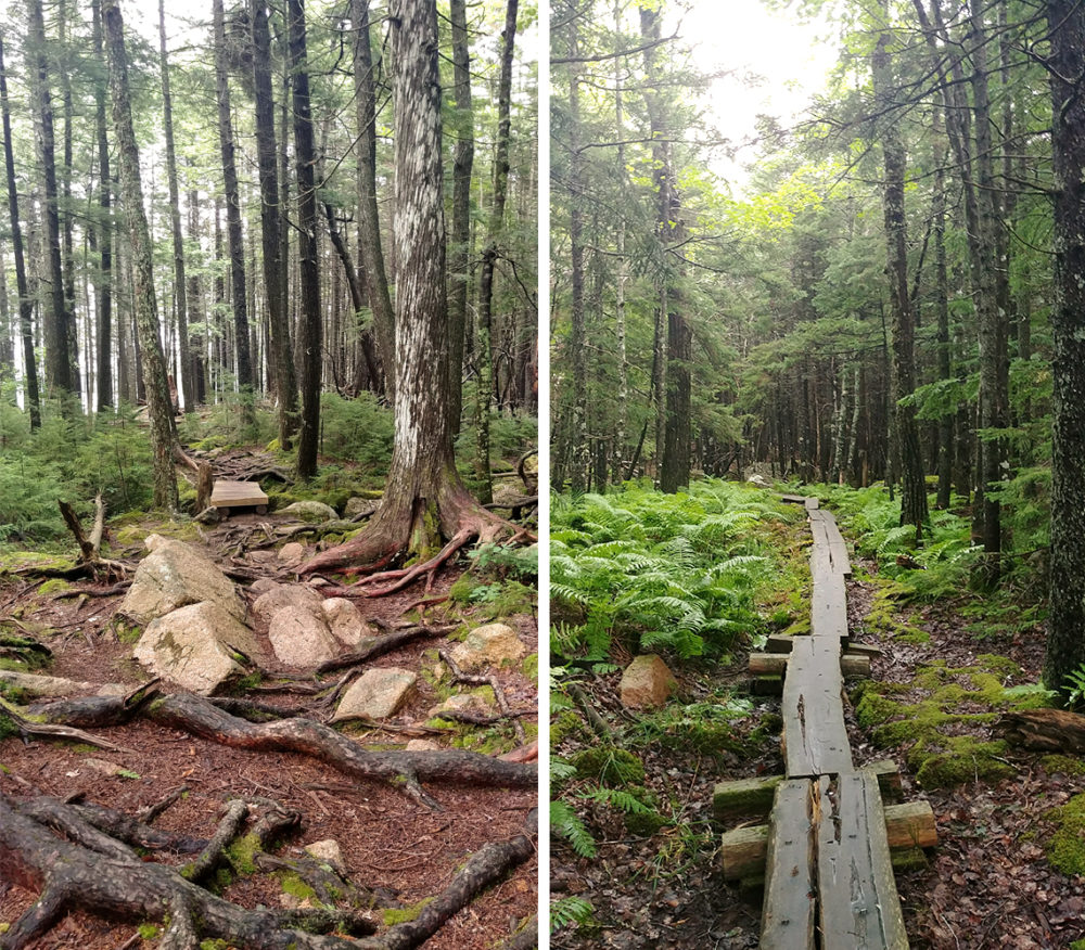 Acadia National Park