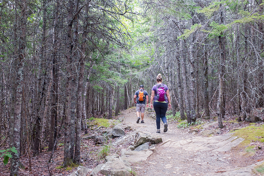 Acadia National Park