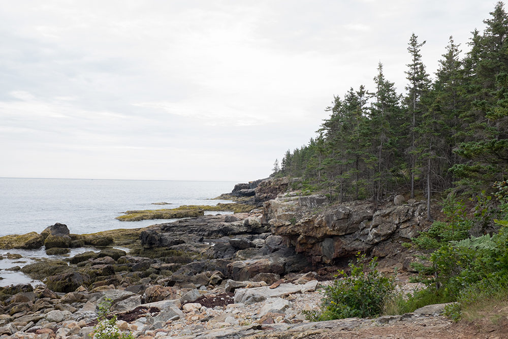 Acadia National Park