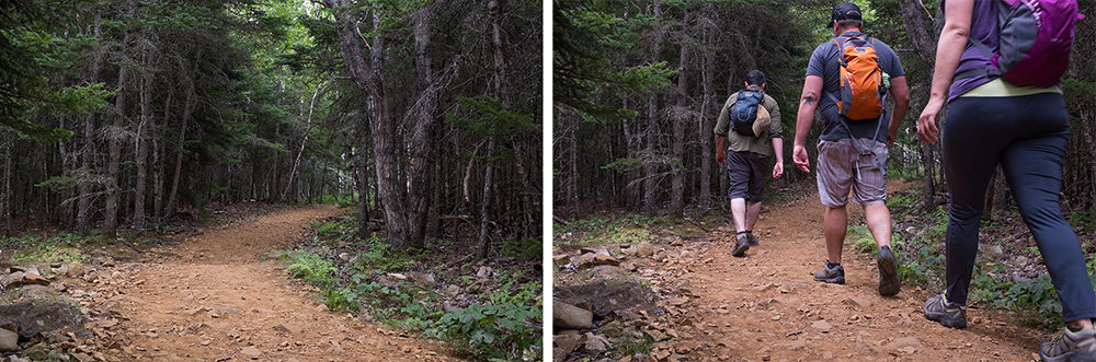 Acadia National Park