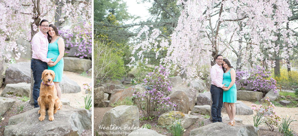 Tips for Bringing your dog to a portrait session