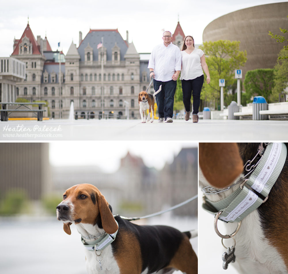Special Dog Collar for Engagement Session