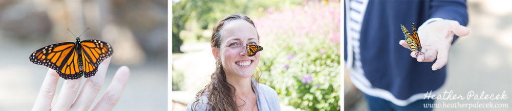 Butterfly Release Family Photos