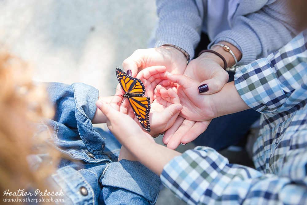 Butterfly Release Family Photos