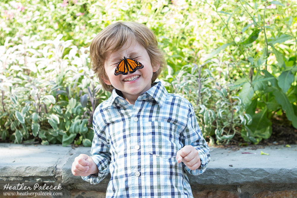 Butterfly Release Family Photos