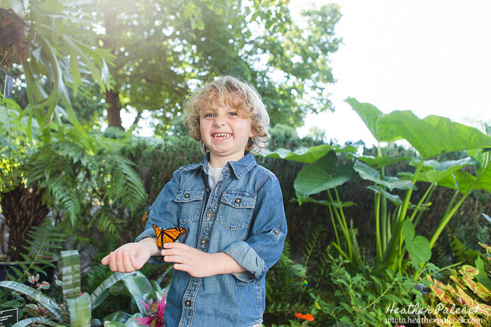 Butterfly Release Family Photos