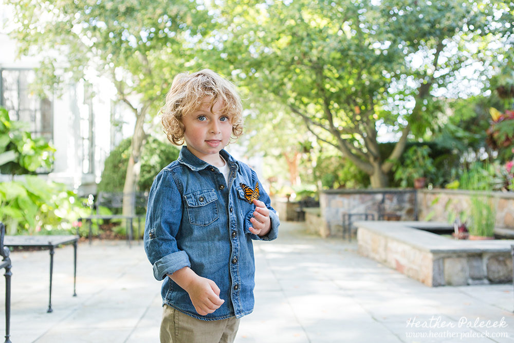 Butterfly Release