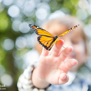 Butterfly Release Family Photos {Hamilton, NJ Photographer}