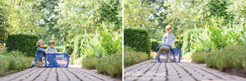 Monarch Butterfly Release