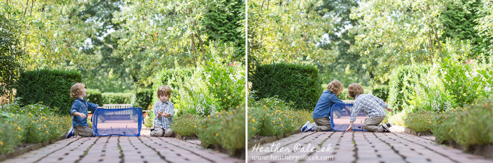 Monarch Butterfly Release