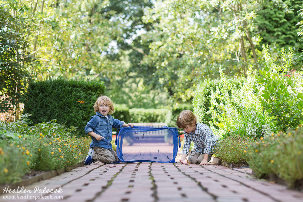 Monarch Butterfly Release Family Photos