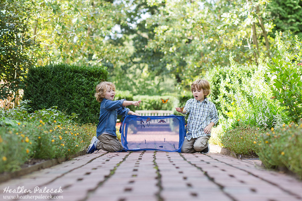 Monarch Butterfly Release Family Photos