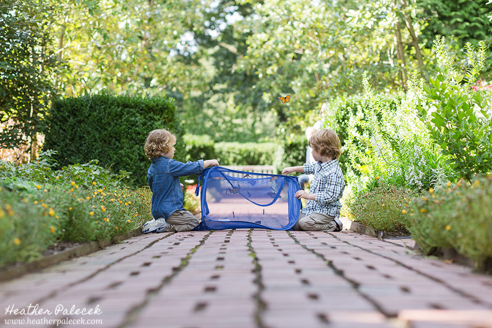 Butterfly Release Family Photos